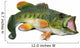Large Mouth Bass Wall Decal
