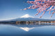 Berg Fuji Kawaguchiko Japan Wall Decal