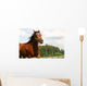 Horse Wall Mural