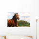 Horse Wall Mural