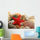 Sea Shells Wall Decal