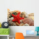 Sea Shells Wall Decal