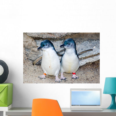 Two Fairy Penguins Wall Decal shown on a wall