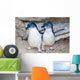 Two Fairy Penguins Wall Decal