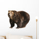 Big Brown Bear White Wall Decal