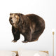 Big Brown Bear White Wall Decal
