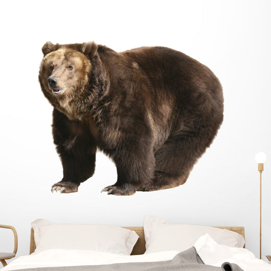 Big Brown Bear White Wall Decal