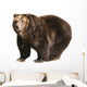 Big Brown Bear White Wall Decal