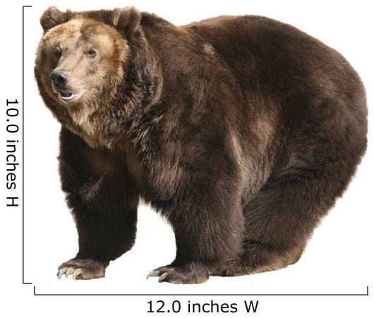 Big Brown Bear White Wall Decal