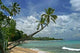 Barbados Beach Wall Decal