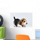 Beagle puppy Wall Decal