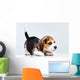 Beagle puppy Wall Decal