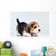 Beagle puppy Wall Decal