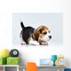 Beagle puppy Wall Decal
