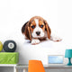 Beagle puppy Wall Decal
