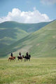 Walking Horse Wall Decal