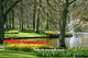 Spring Garden Wall Decal