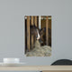 Colt Wall Decal