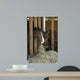 Colt Wall Decal