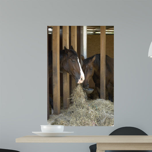 Colt Wall Decal