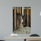 Colt Wall Decal