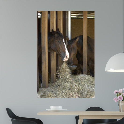 Colt Wall Decal