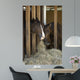 Colt Wall Decal