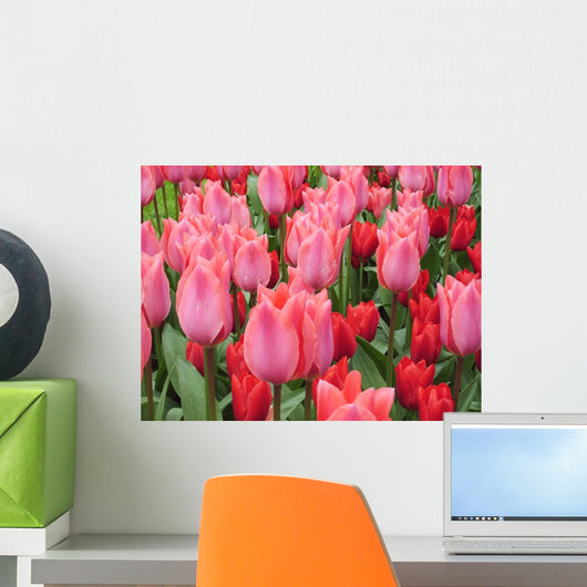 Rosa Tulpen Pink Tulips Wall Decal