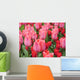 Rosa Tulpen Pink Tulips Wall Decal