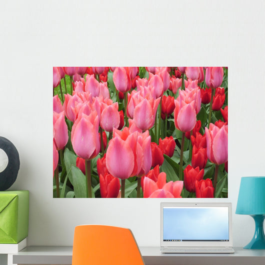Rosa Tulpen Pink Tulips Wall Decal