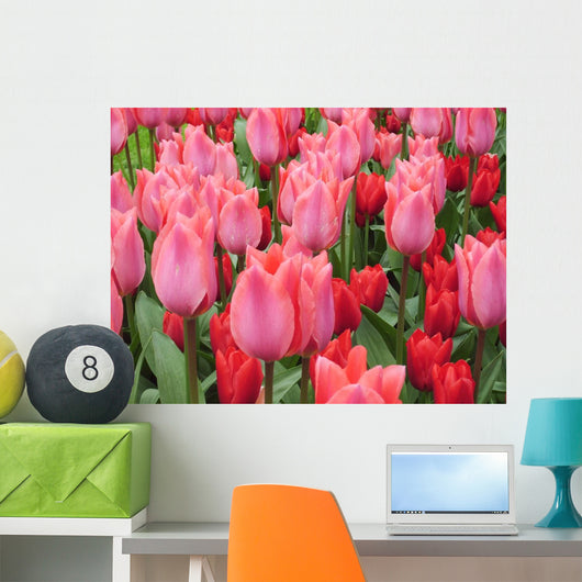 Rosa Tulpen Pink Tulips Wall Decal