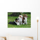 Three Australian Shepherd Wall Decal