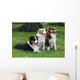Three Australian Shepherd Wall Decal