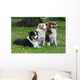Three Australian Shepherd Wall Decal