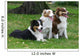 Three Australian Shepherd Wall Decal