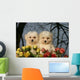 Two Cotton Tulear Puppies Wall Decal