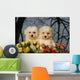 Two Cotton Tulear Puppies Wall Decal