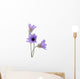 Xeranthemum Wall Decal