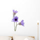 Xeranthemum Wall Decal