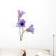 Xeranthemum Wall Decal