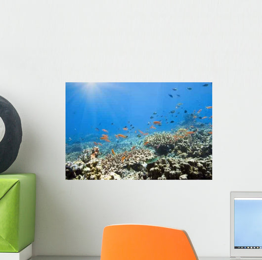 Underwater World Wall Decal