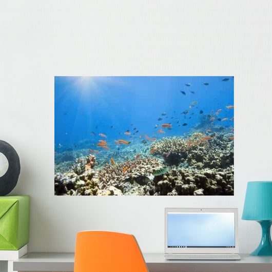 Underwater World Wall Decal