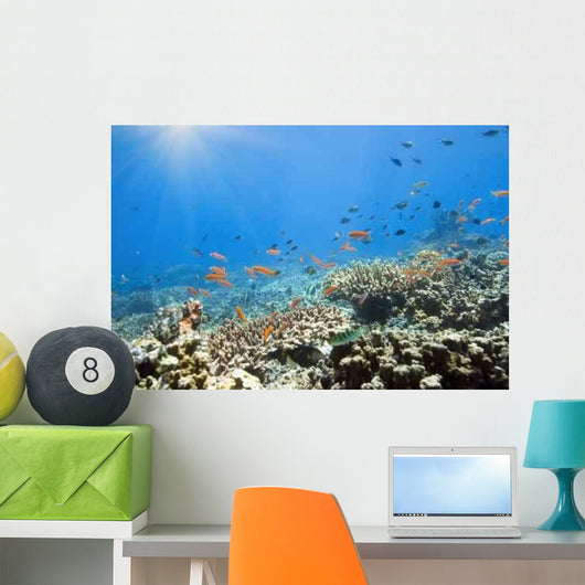 Underwater World Wall Decal