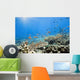 Underwater World Wall Decal