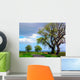 Country Road and Dead Wall Decal
