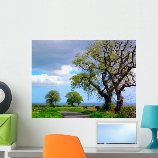 Country Road and Dead Wall Decal