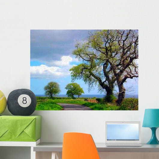 Country Road and Dead Wall Decal
