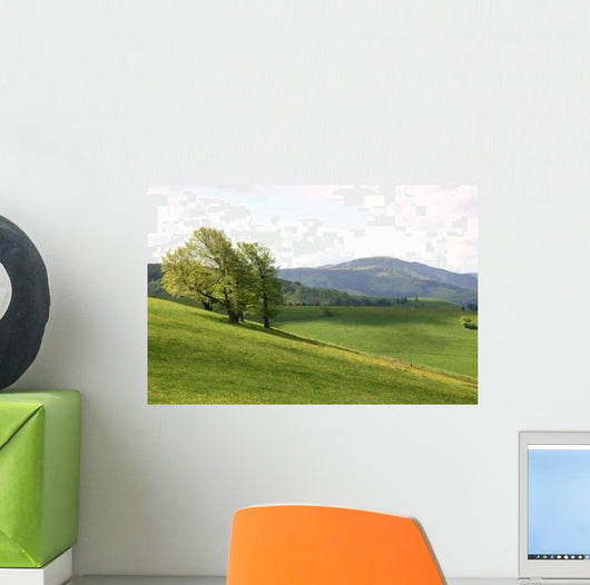 Schauinsland 2 Wall Decal