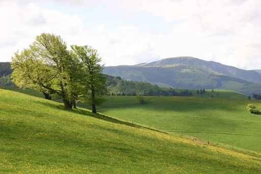 Schauinsland 2 Wall Decal