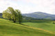 Schauinsland 2 Wall Decal